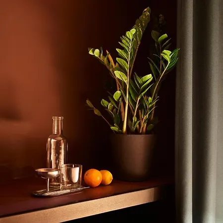 Haus Im Tal 4* Munich